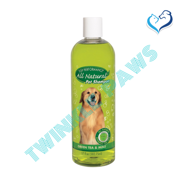 TOP PERFORMANCE Green Tea & Mint Shampoo 502ml 17oz